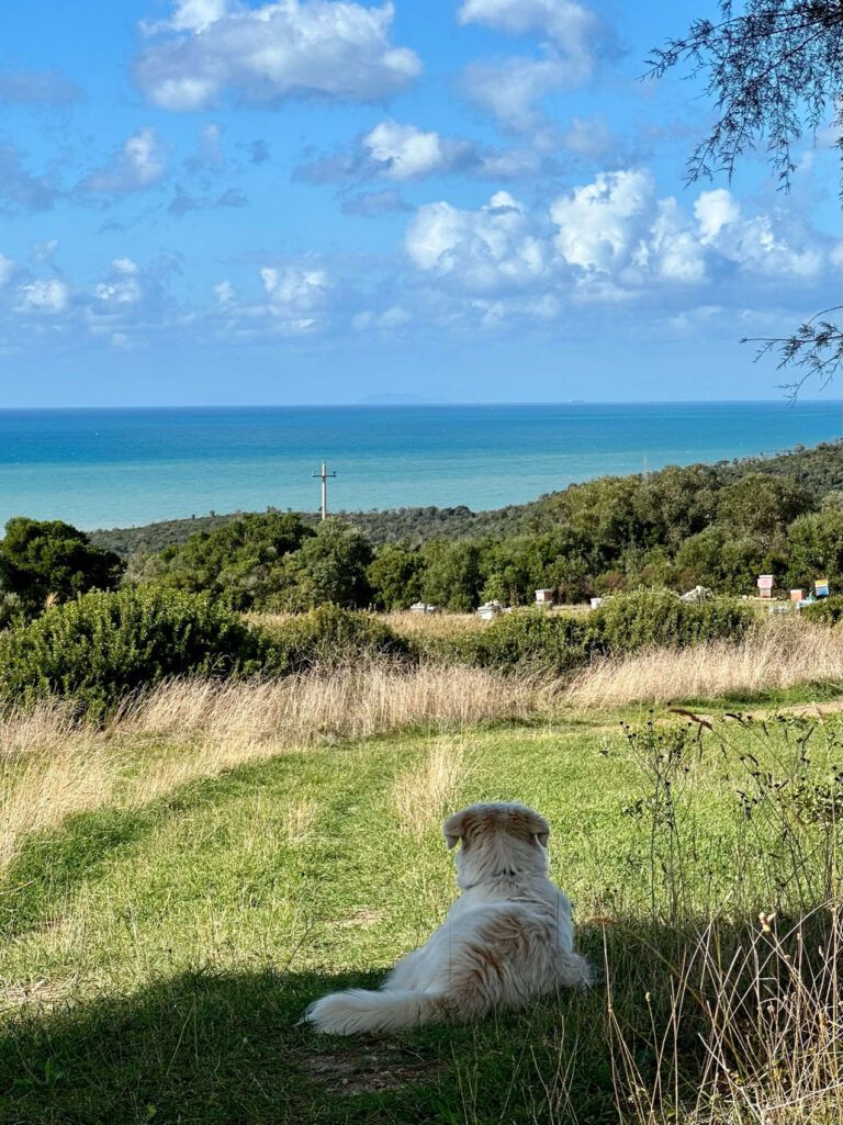 Bio Agriturismo Costa Etrusca | Vacanze con il cane