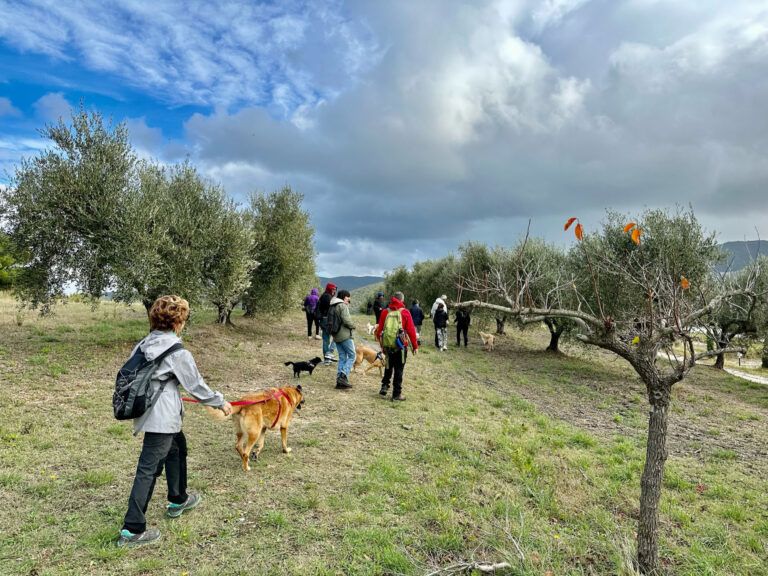 Bio Agriturismo Costa Etrusca | Vacanze con il cane