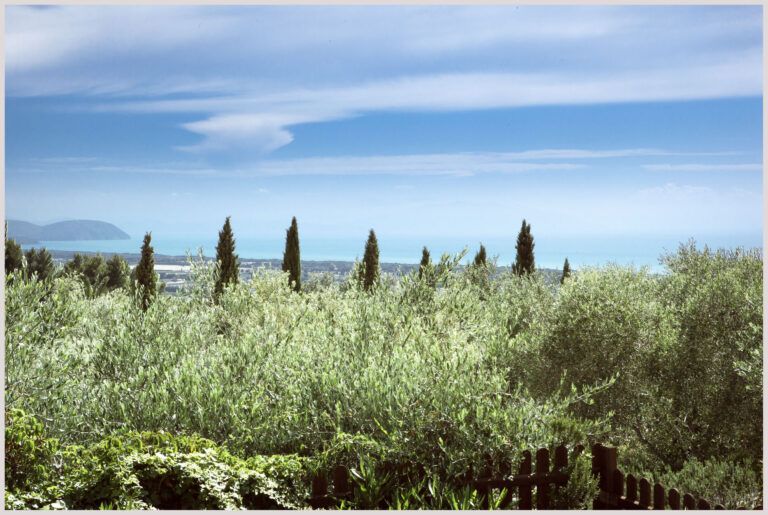 Bio Agriturismo Costa Etrusca | Lavanda