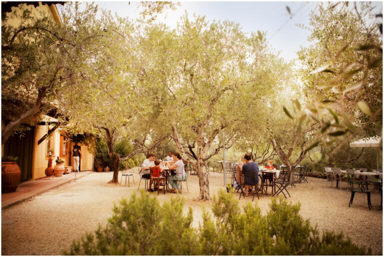 Bio Agriturismo Costa Etrusca | La Colazione