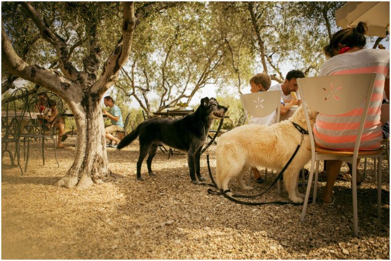 Bio Agriturismo Costa Etrusca | La Colazione