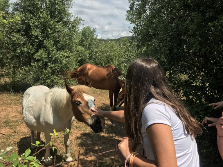Bio Agriturismo Costa Etrusca | Vacanze per i più piccoli