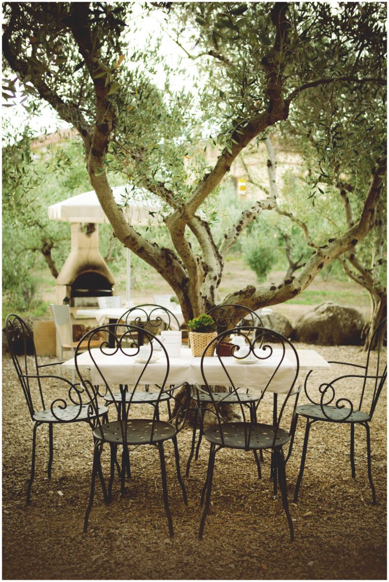 Bio Agriturismo Costa Etrusca | Olivum agri-bistrò