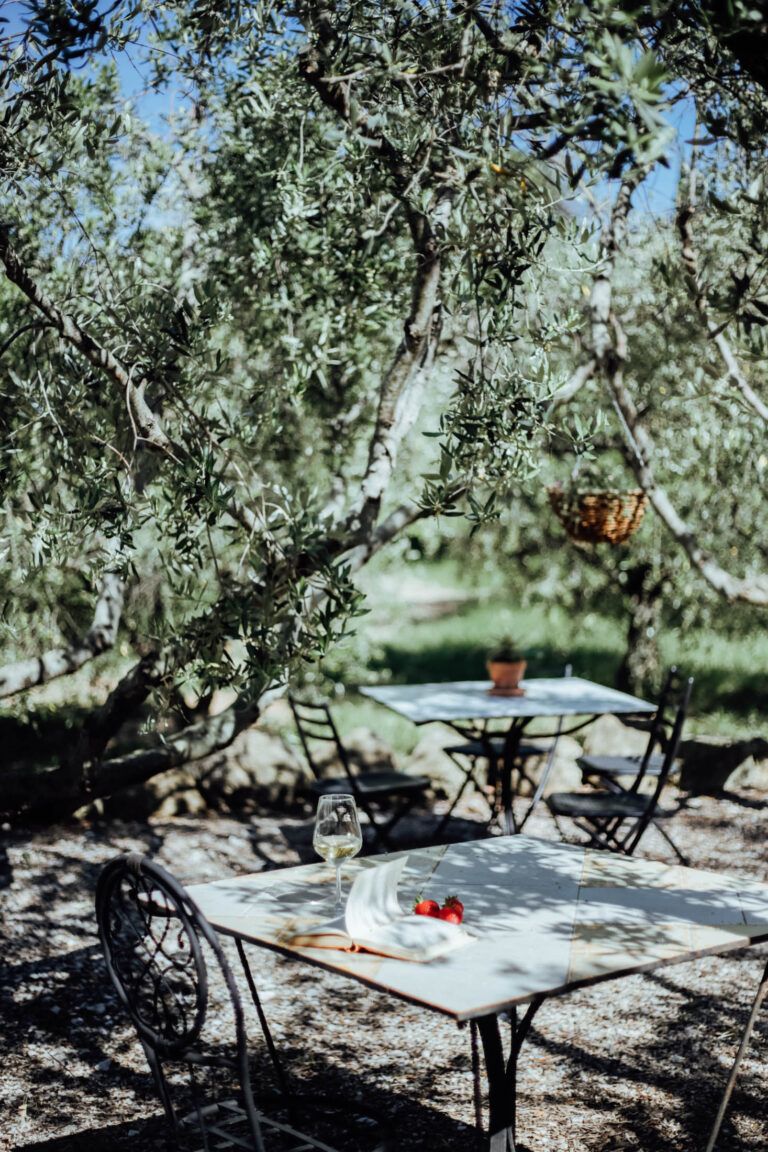Bio Agriturismo Costa Etrusca | Olivum agri-bistrò